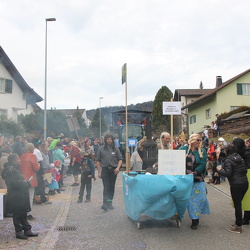 16.02.2020 Fasnacht St. Gallenkappel